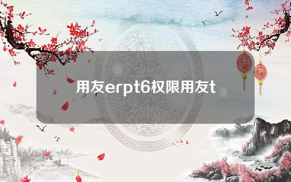 用友erp t6权限(用友t6权限设置)