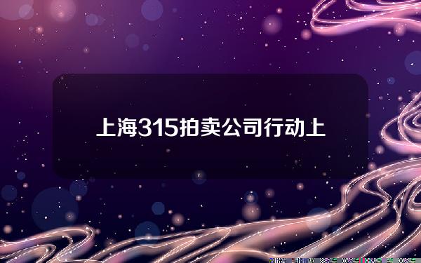 上海315拍卖公司行动(上海拍卖公告)