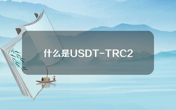   什么是USDT-TRC20：走进稳定币世界的区块链奇迹