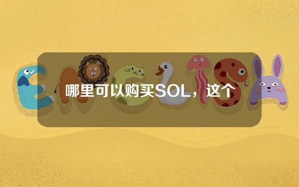   哪里可以购买SOL，这个你必须知道答案