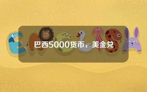 巴西5000货币，美金兑巴西雷亚尔