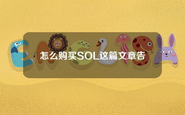   怎么购买SOL？这篇文章告诉你