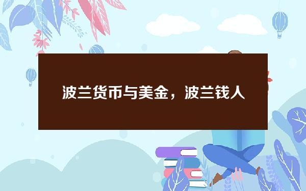 波兰货币与美金，波兰钱人民币汇率