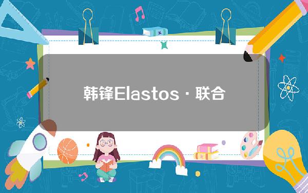 韩锋Elastos·联合创始人