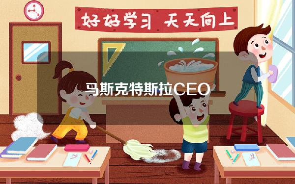 马斯克特斯拉CEO