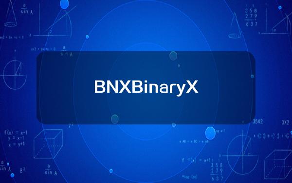 BNXBinaryX