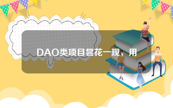 DAO类项目昙花一现，用户需要注意哪些风险？