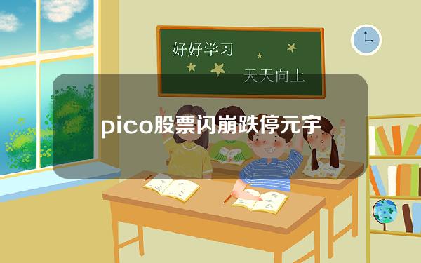 pico股票(闪崩跌停元宇宙龙头被传砍单，易方达踩雷)